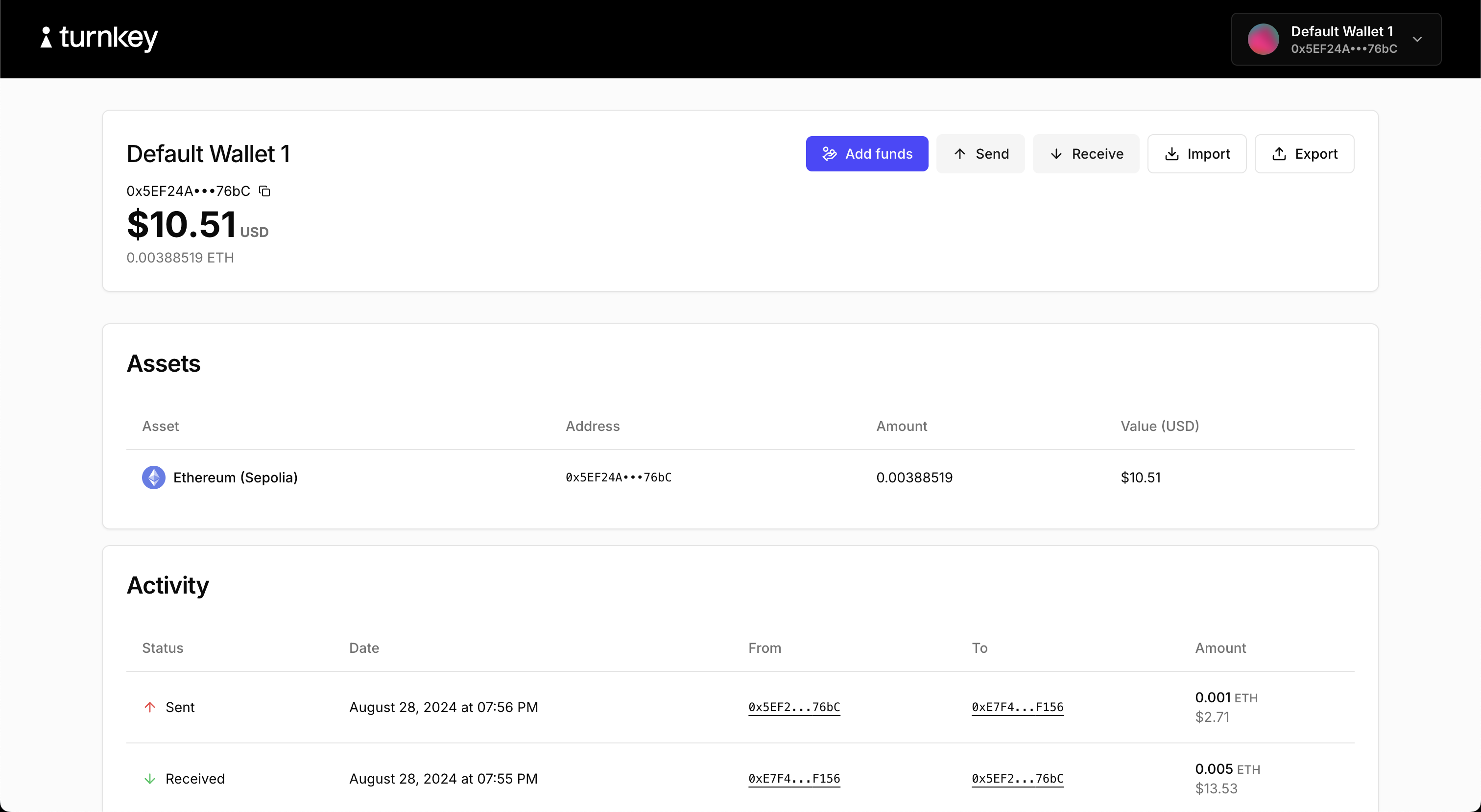 demo embedded wallet dashboard view